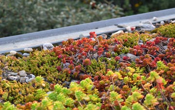 the cost of Westoncommon green roof installation